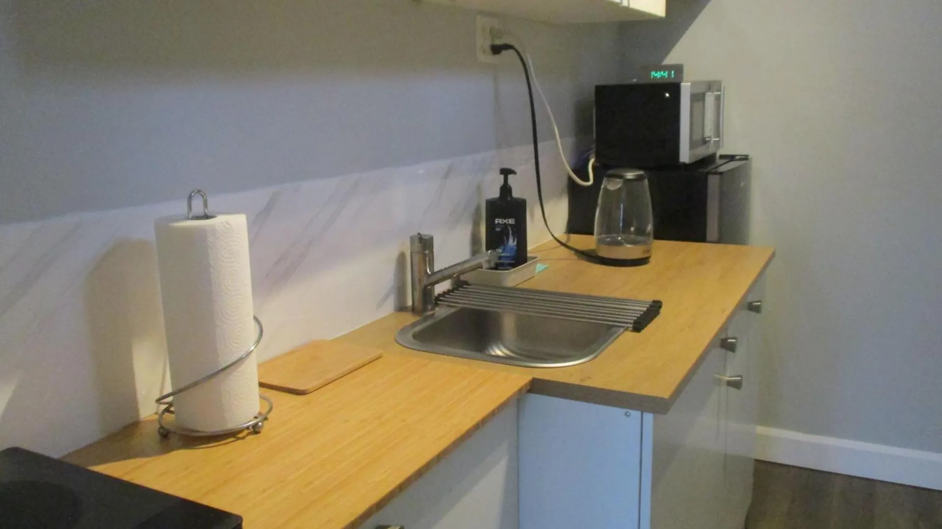 High Park Junior Studio With Washroom And Kitchen Toronto Apartment
